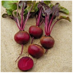 Burak Camaro f1 50 000 nasion st